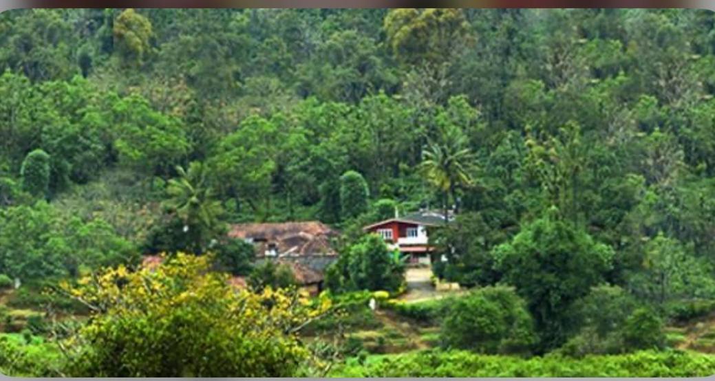 Coorg Naladi Holidays Kakkabe المظهر الخارجي الصورة